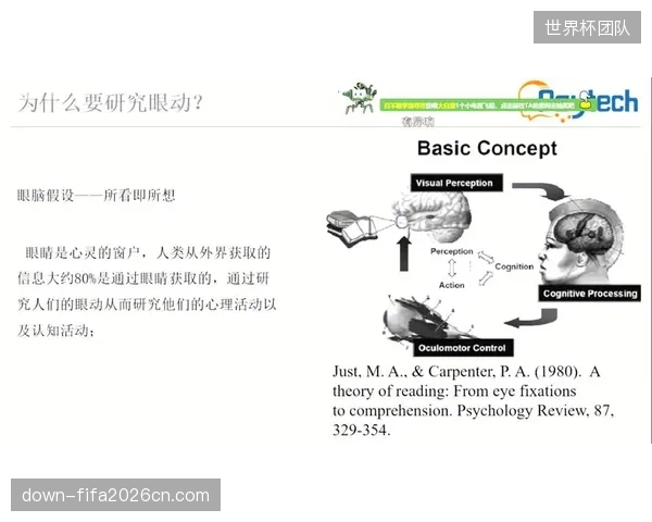 突破期交互界面革新 眼动追踪技术简化操作流程